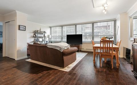 33 E Cedar St #4C, Chicago, IL 60611 photo 12