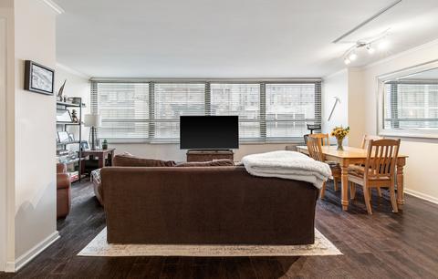 33 E Cedar St #4C, Chicago, IL 60611 photo 3