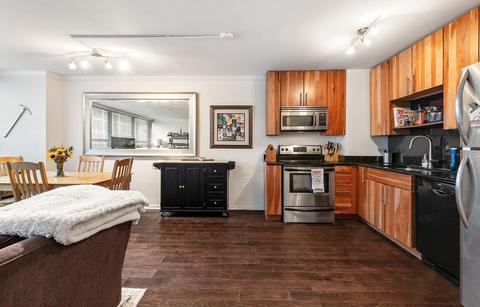 33 E Cedar St #4C, Chicago, IL 60611 photo 4