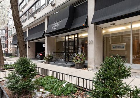 33 E Cedar St #4C, Chicago, IL 60611 photo 1