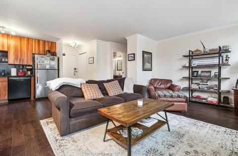 33 E Cedar St #4C, Chicago, IL 60611 photo 7