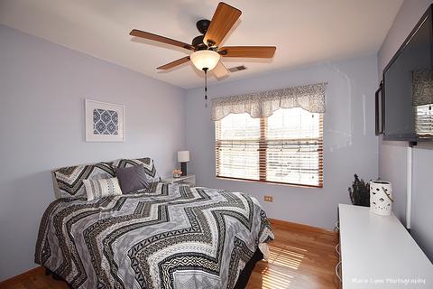 4145 Oak Tree Ln, Plainfield, IL 60586 photo 20