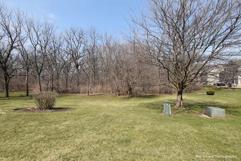 4145 Oak Tree Ln, Plainfield, IL 60586 photo 22