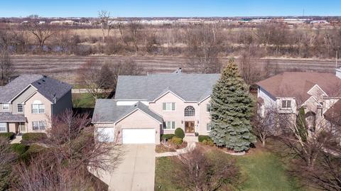 13742 Capista Dr, Plainfield, IL 60544 photo 2