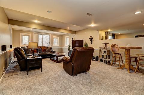 13742 Capista Dr, Plainfield, IL 60544 photo 31
