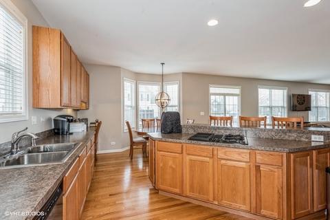 1420 Blume Dr, Elgin, IL 60124 photo 10
