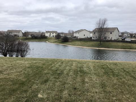 325 Gregory Ln, Plano, IL 60545 photo 3