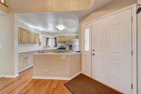 9033 Jacqueline Dr, Des Plaines, IL 60016 photo 4