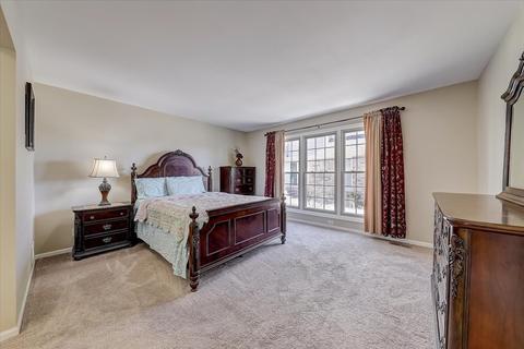 9033 Jacqueline Dr, Des Plaines, IL 60016 photo 16