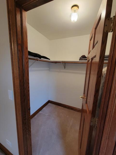 691 Timber Ridge Dr, Bartlett, IL 60103 photo 22