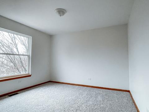 2010 Havenhill Dr, Plainfield, IL 60586 photo 18