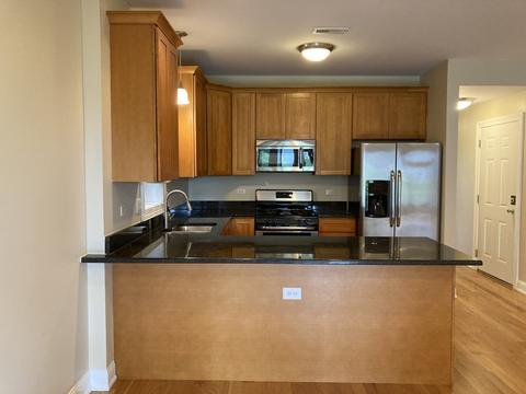 19 E 26th St #4, Chicago, IL 60616 photo 4