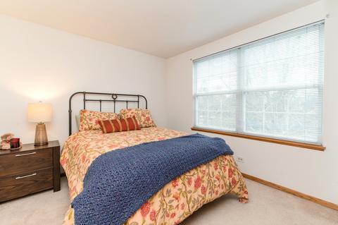 875 Wembley Ct, Elgin, IL 60120 photo 28