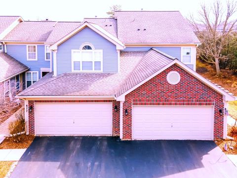 875 Wembley Ct, Elgin, IL 60120 photo 3
