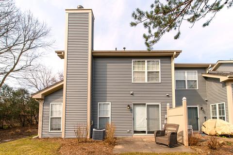 875 Wembley Ct, Elgin, IL 60120 photo 33
