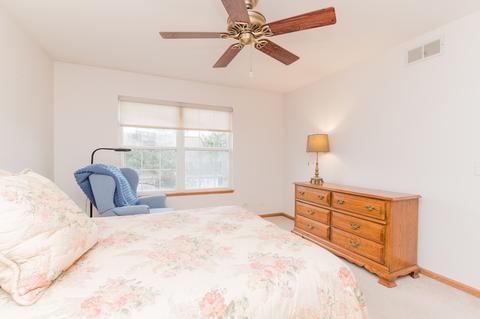 875 Wembley Ct, Elgin, IL 60120 photo 24