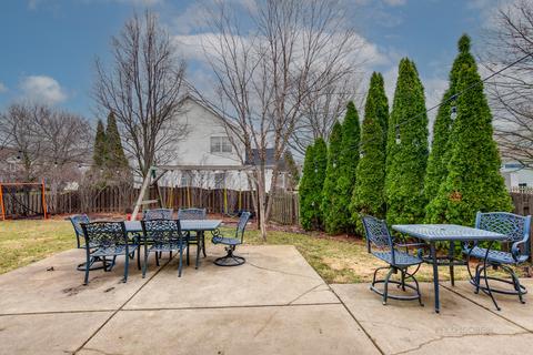 355 Devon Ct, Grayslake, IL 60030 photo 24