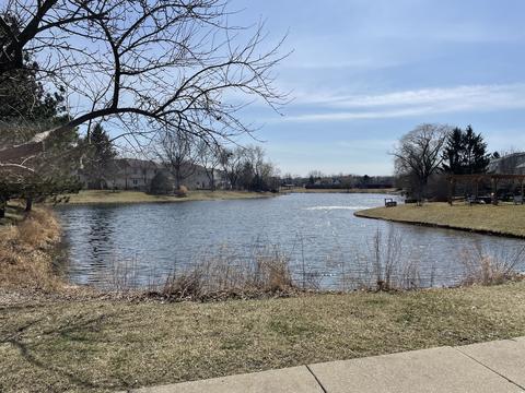 355 Devon Ct, Grayslake, IL 60030 photo 27