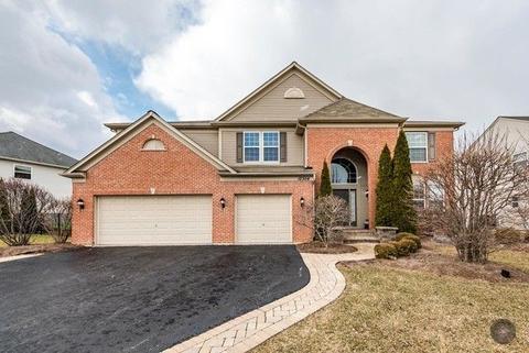12304 Blue Iris Ln, Plainfield, IL 60585 photo 1