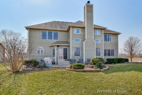 25114 White Ash Ct, Plainfield, IL 60585 photo 30