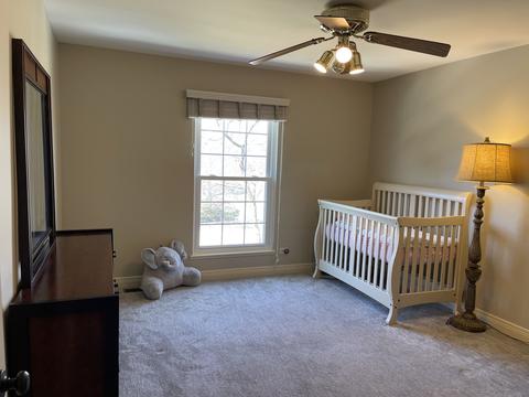 675 White Oak Ln, Bartlett, IL 60103 photo 22