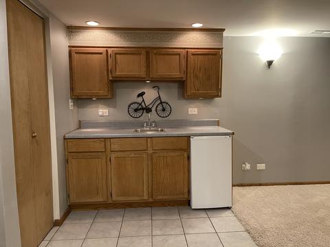 440 Tennyson Rd, Bartlett, IL 60103 photo 20