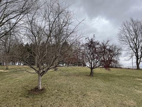 18474 Holly Rd, Morrison, IL 61270 photo 12
