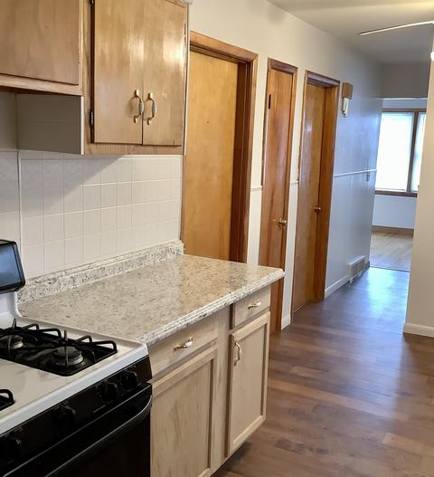 3336 N Osceola Ave, Chicago, IL 60634 photo 8