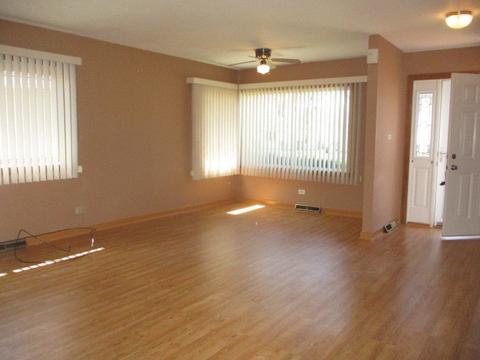 3515 Carpenter St, Steger, IL 60475 photo 4