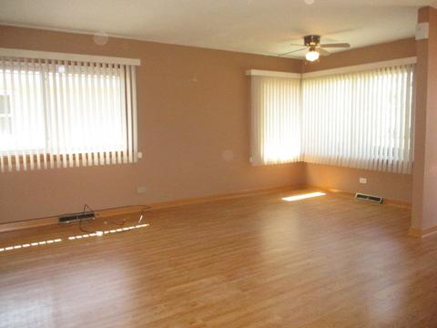 3515 Carpenter St, Steger, IL 60475 photo 5
