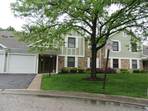 549 Williamsburg Ct #B1, Wheeling, IL 60090 photo 1