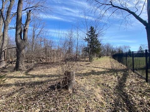 7611 Hamilton Ave, Burr Ridge, IL 60527 photo 9