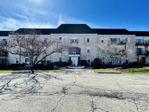 5001 Carriageway Dr #A308, Rolling Meadows, IL 60008 photo 1