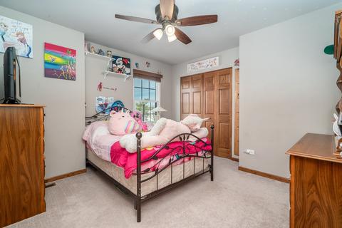 25325 S Plainview Dr, Channahon, IL 60410 photo 26