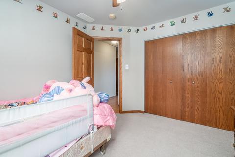 25325 S Plainview Dr, Channahon, IL 60410 photo 29