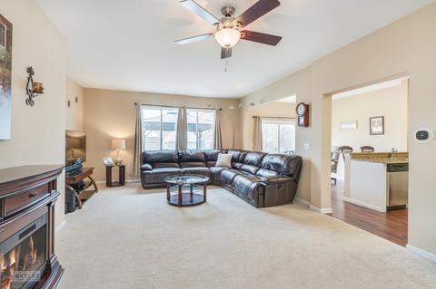 21304 W Juniper Ln, Plainfield, IL 60544 photo 6