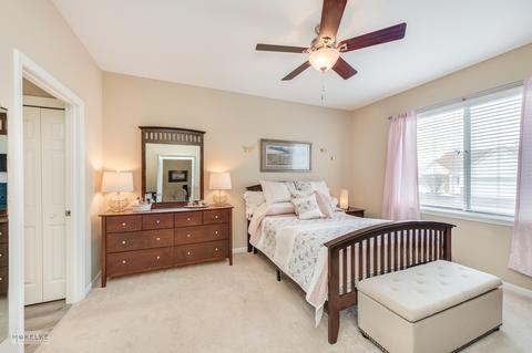 21304 W Juniper Ln, Plainfield, IL 60544 photo 18