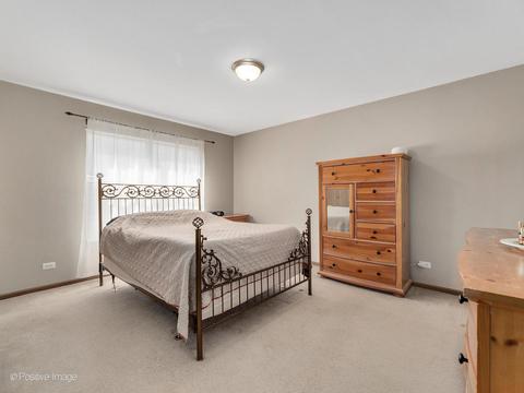 12362 Falcon Dr, Plainfield, IL 60585 photo 15