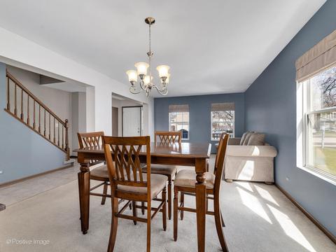 12362 Falcon Dr, Plainfield, IL 60585 photo 5