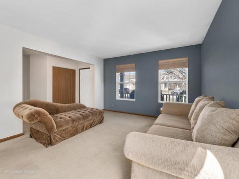 12362 Falcon Dr, Plainfield, IL 60585 photo 4