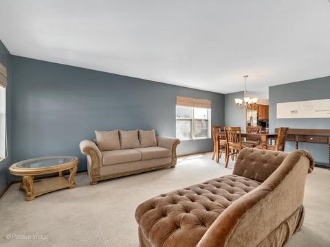 12362 Falcon Dr, Plainfield, IL 60585 photo 2