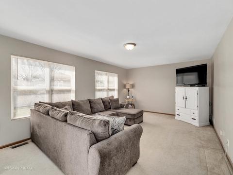 12362 Falcon Dr, Plainfield, IL 60585 photo 13