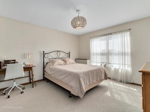 12362 Falcon Dr, Plainfield, IL 60585 photo 17