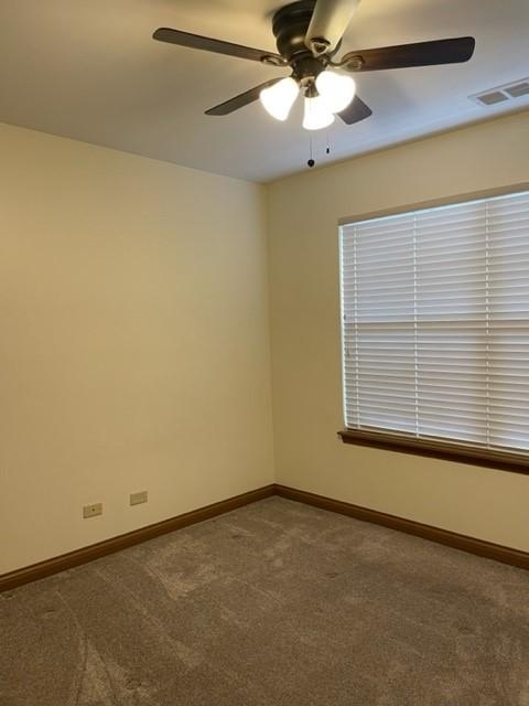 207 Grandview Ct, Algonquin, IL 60102 photo 12