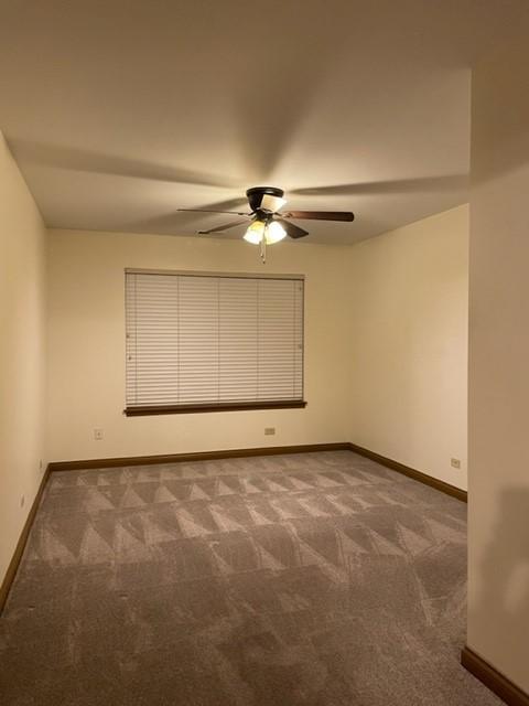 207 Grandview Ct, Algonquin, IL 60102 photo 13