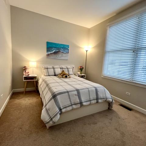 218 E Cullerton St, Chicago, IL 60616 photo 22