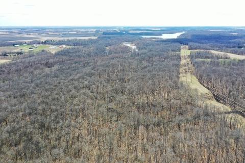 16682 Parnell Rd, Dewitt, IL 61735 photo 60