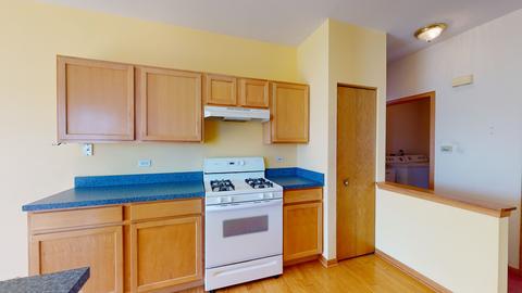 21029 W Braxton Ln, Plainfield, IL 60544 photo 13
