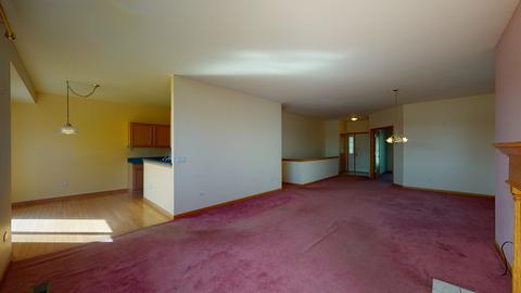 21029 W Braxton Ln, Plainfield, IL 60544 photo 8