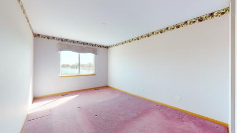 21029 W Braxton Ln, Plainfield, IL 60544 photo 16